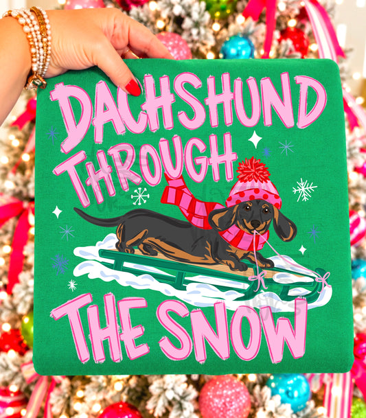 Brown and Black Dachshund Snow