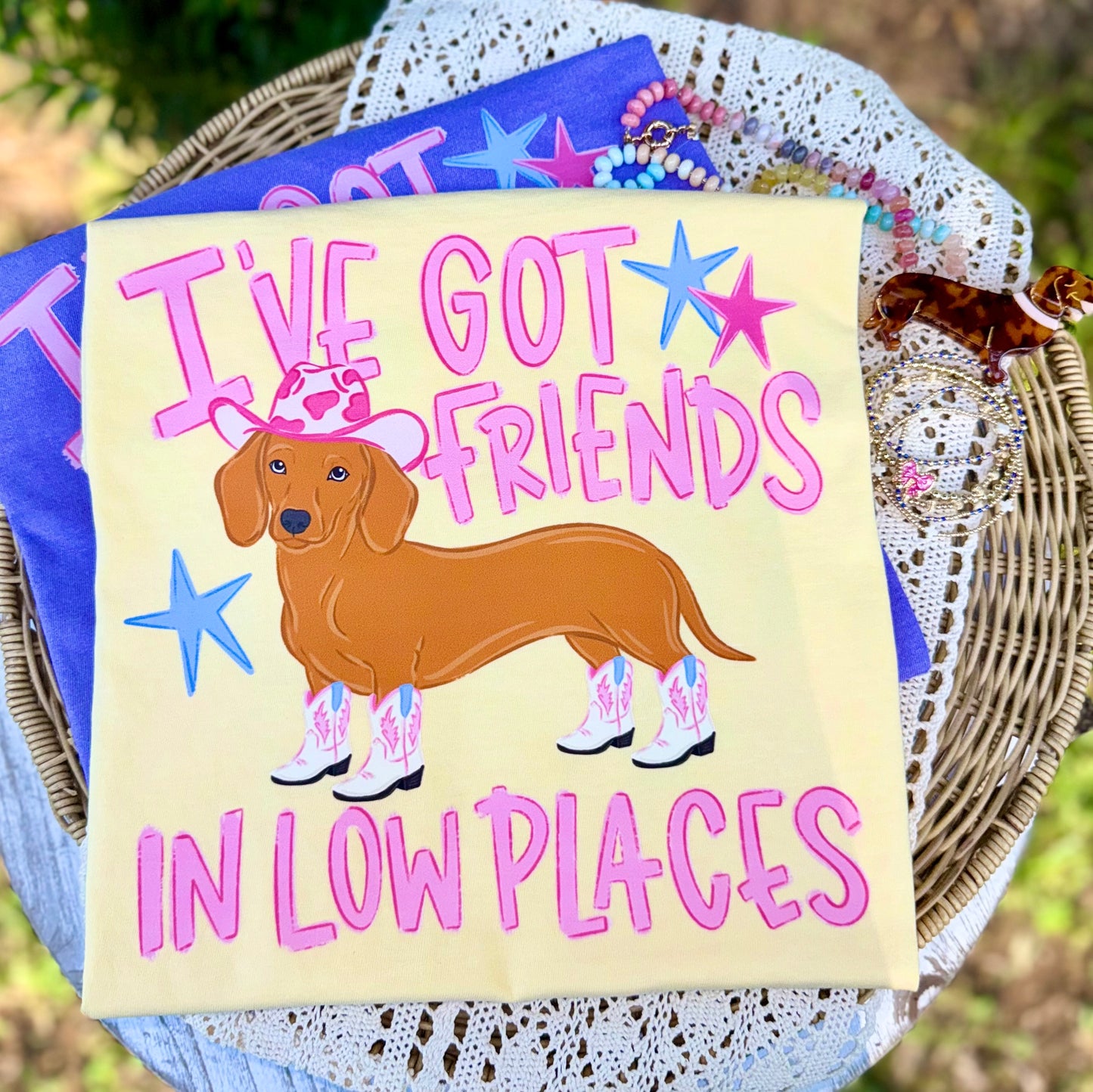 I've Got Friends in Low Places Dog PNG