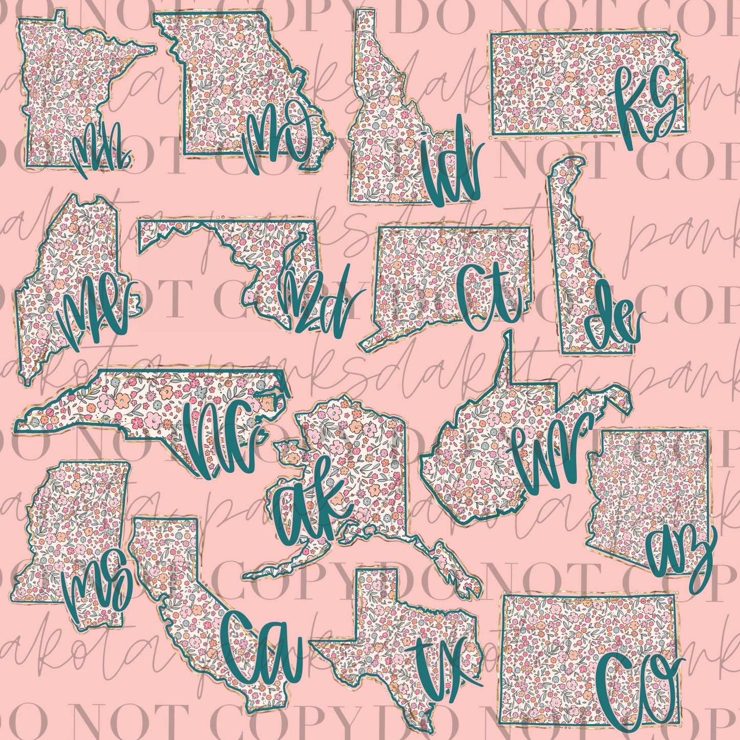All 50 States Bundle PNG, US Png, Coquette png, State png, Preppy png, Boho png, Girly digital, Gold Foil Png, DTF, Floral png, Hand Drawn